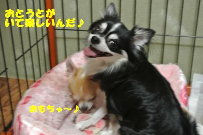 蟆城未+1026_convert_20120912102816