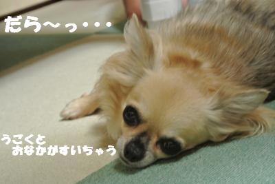 蟆城未+950_convert_20120913104650