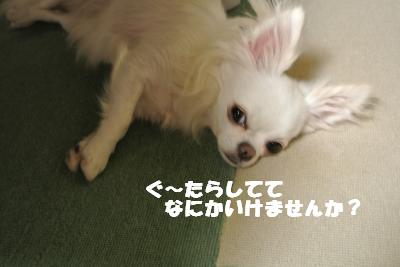 蟆城未+976_convert_20120912102725