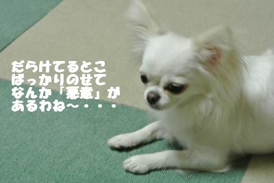 蟆城未+931_convert_20120913105757