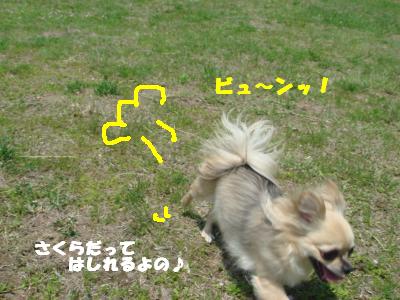 蟆城未+068_convert_20120913105921