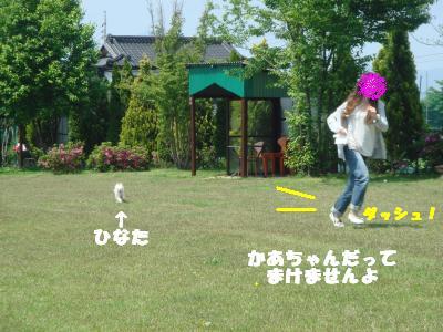 蟆城未+141_convert_20120913104614