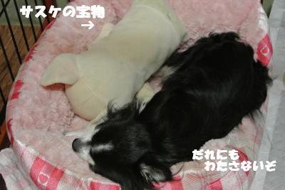 蟆城未+1050_convert_20120913131604