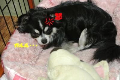 蟆城未+1049_convert_20120913131532