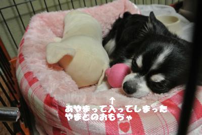 蟆城未+1046_convert_20120913131415