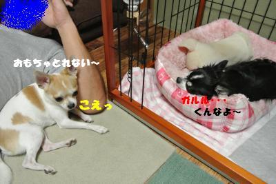 蟆城未+1051_convert_20120913131636