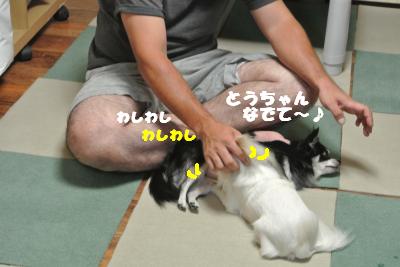 蟆城未+1057_convert_20120913131925