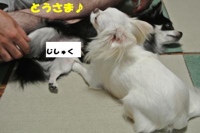 蟆城未+1059_convert_20120913132001
