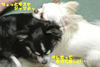 蟆城未+1063_convert_20120913132050