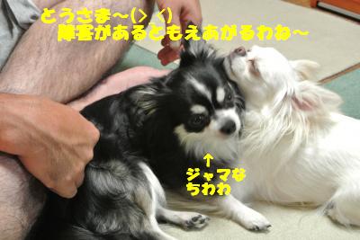 蟆城未+1060_convert_20120913132130