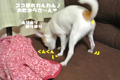 蟆城未+1056_convert_20120913132219