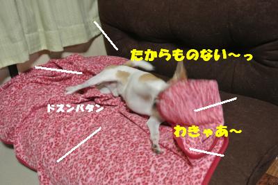 蟆城未+1055_convert_20120913132245