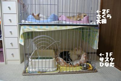 蟆城未+1061_convert_20120914140801