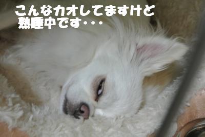 蟆城未+1071_convert_20120914141318