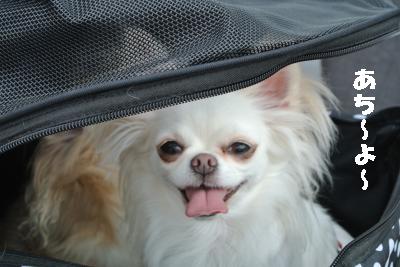 20120917豌エ荳・006_convert_20120919215337