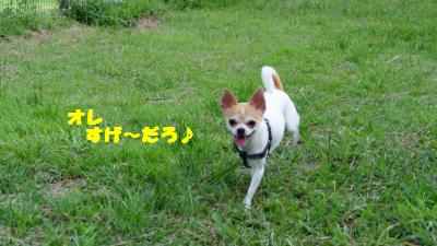 蟆城未+1092_convert_20120920103509