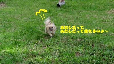 蟆城未+1087_convert_20120920103216