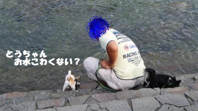 蟆城未+1100_convert_20120920103802