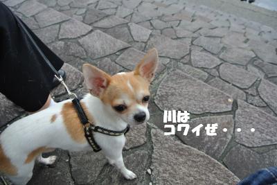 蟆城未+1113_convert_20120920104019