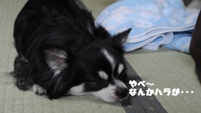 蟆城未+1108_convert_20120920104234