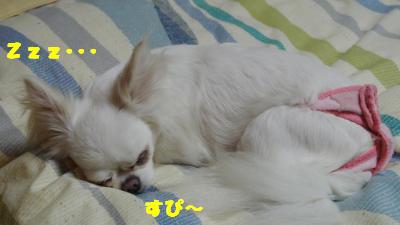 蟆城未+1116_convert_20120920163144