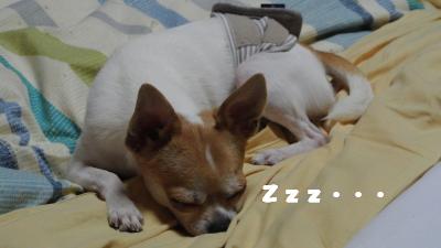 蟆城未+1115_convert_20120920163044