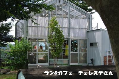蟆城未+1133_convert_20120920163421