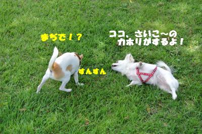 蟆城未+1165_convert_20120920164205