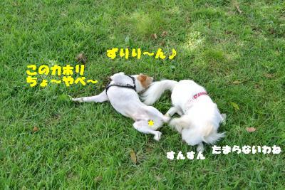 蟆城未+1167_convert_20120920164328
