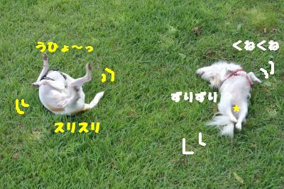 蟆城未+1164_convert_20120920164253