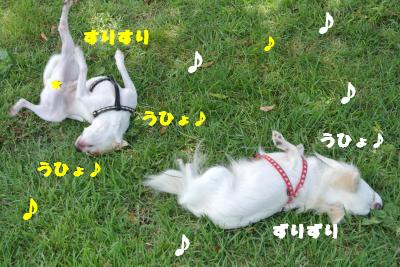 蟆城未+1170_convert_20120920164404