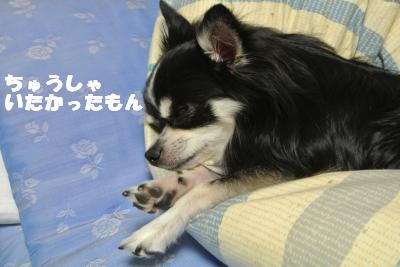 蟆城未+1163_convert_20120920164452
