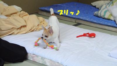 蟆城未+1078_convert_20120921102605
