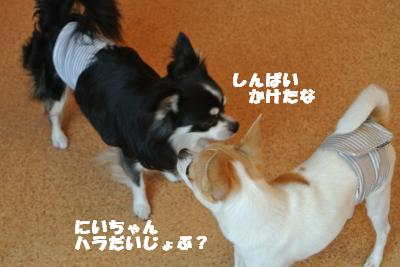 蟆城未+1180_convert_20120920164755