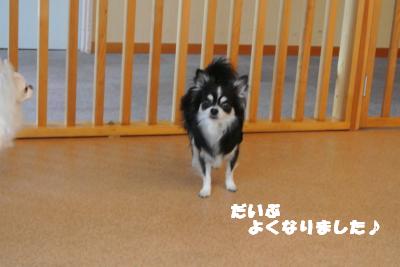 蟆城未+1184_convert_20120920164917