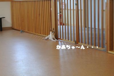 蟆城未+1196_convert_20120920165300