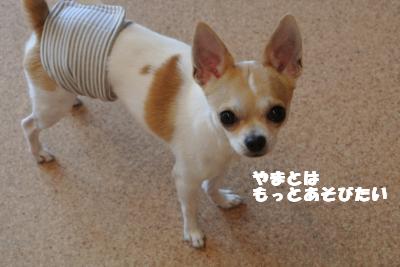 蟆城未+1186_convert_20120920165103