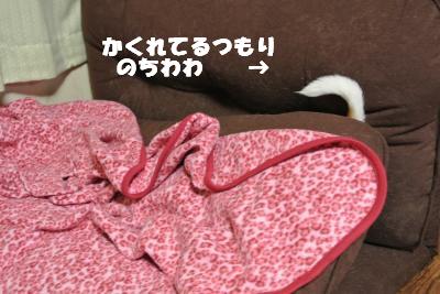 蟆城未+1054_convert_20120924110031