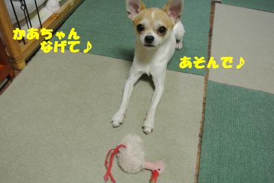 蟆城未+992_convert_20120924110100