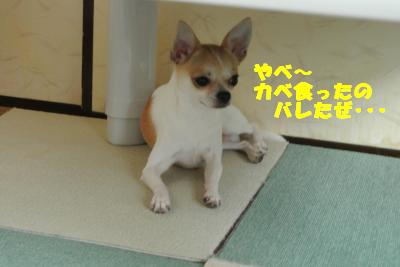 蟆城未+1085_convert_20120924110332