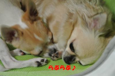 蟆城未+1083_convert_20120924105848
