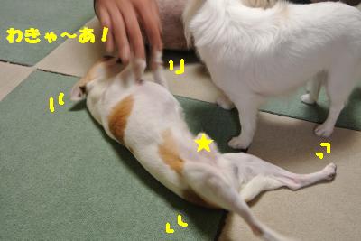 蟆城未+835_convert_20120924105617