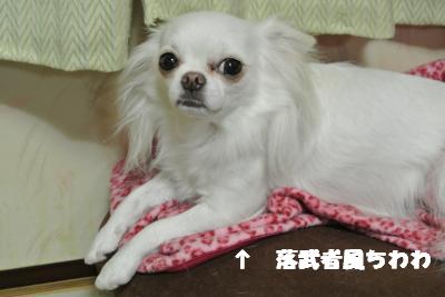 蟆城未+1080_convert_20120924105924