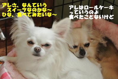 蟆城未+1069_convert_20120925104247