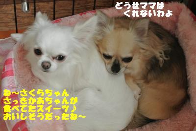 蟆城未+1065_convert_20120925104350