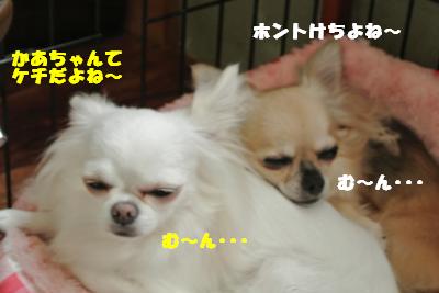 蟆城未+1066_convert_20120925104313