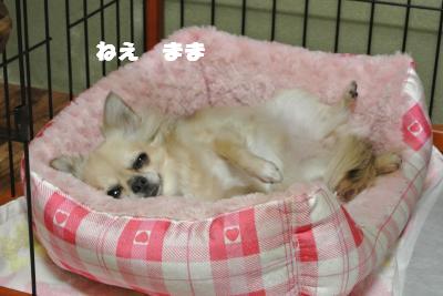 蟆城未+1061_convert_20120925104933
