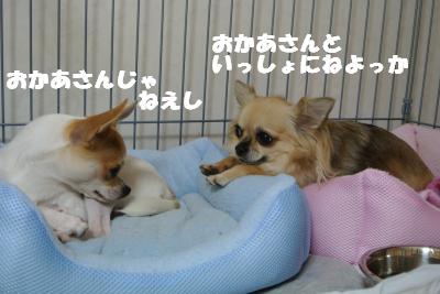 蟆城未+1098_convert_20120926095252