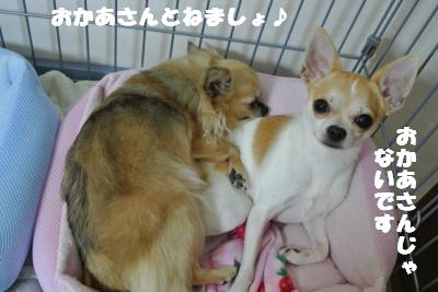 蟆城未+1103_convert_20120926095728