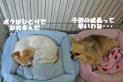 蟆城未+1090_convert_20120926100216